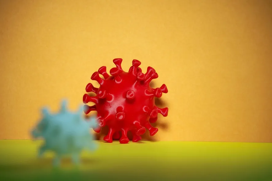 
                                                                                            Virus H5N1: La amenaza de las aves para los humanos
                                             